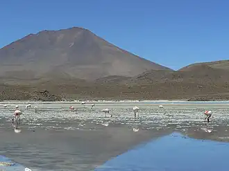 Озеро Каньяпа в Боливии