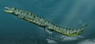 Реконструкция Pholiderpeton