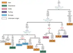 {{{размер}}}px