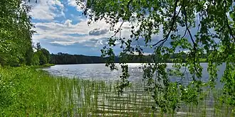 Вид на озеро Пийганди летом 2019 года