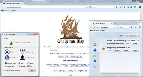 Скриншот программы PirateBrowser