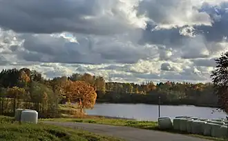 Северо-восточный берег озера Кюлаярв осенью 2017 года