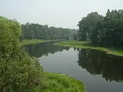 Заводь на Поле, фото с Кривандинского автомоста вниз по течению, лето 2010.