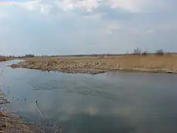 Река Потудань весной 2011 года