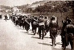 Пересечение подразделениями 12-й Славонской дивизии словенско-хорватской границы в мае 1945 года