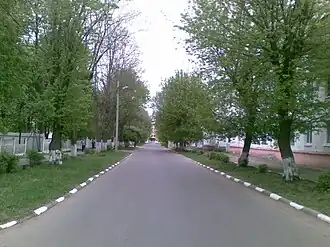 Улица Присягина в Новомосковске.