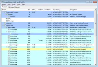 Скриншот программы Process Hacker