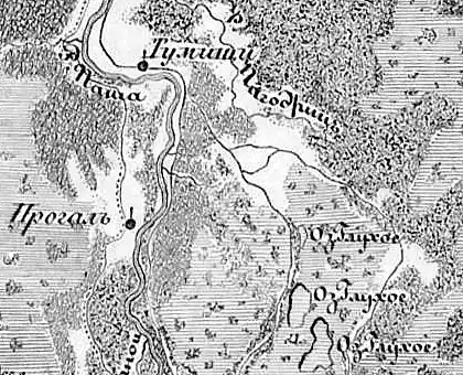 Деревня Тумищи на карте Новгородской губернии 1847 года