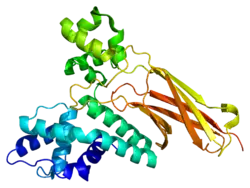 PDB rendering based on 2q0z.