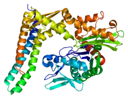 PDB представлено на основе 1hx1.