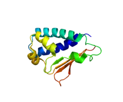 Представлено на основе PDB 3DJU.