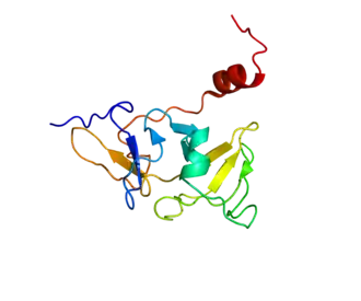 Структура белка LGP2