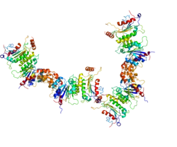 Представлено на основе PDB 2QRV.