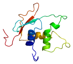 PDB в комплексе с 2dll.