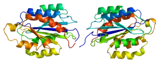 Структура белка ITGA2