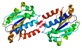 Структура молекулы ITGAL