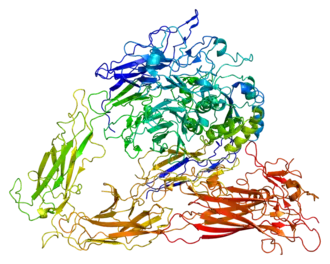 Структура белка ITGB3