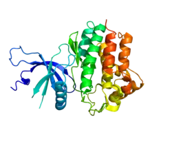 Представлено на основе PDB 3EYG.