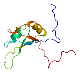 Нуклеолин11 октября 2018