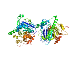 Прорисовка основана на PDB 3D59.