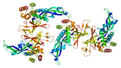 PDB rendering based on 2c35.