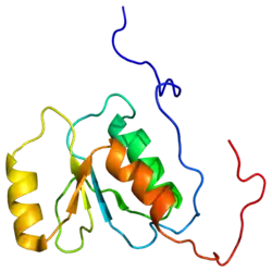 Представлено на основе PDB 2EBU.
