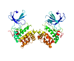Представлено на основе PDB 3A60.