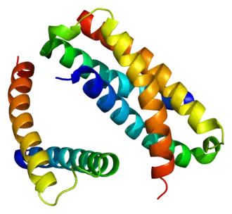 Структура белка SH2B2.