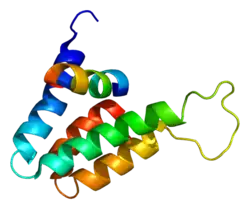 PDB представлено на основе 1e91.