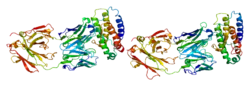 PDB rendering based on 1v7m.