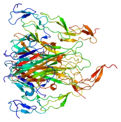 PDB прорисовано на основе 1d0g.