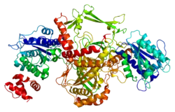 PDB rendering based on 1jeq.