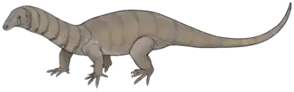 Protorosaurus speneri