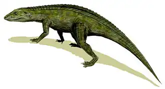 Protosuchus