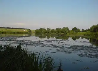 Пруд Джерелянкана закате(Харьковская область)