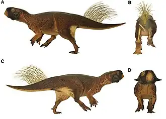 Реконструкция пситтакозавра, основанная на образце SMF R 4970