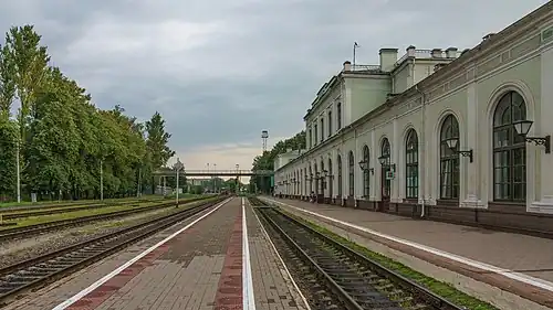 Вид вокзала со стороны платформ, на заднем плане — пешеходный путепровод