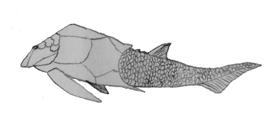 Панцирная рыба Pterichthyodes