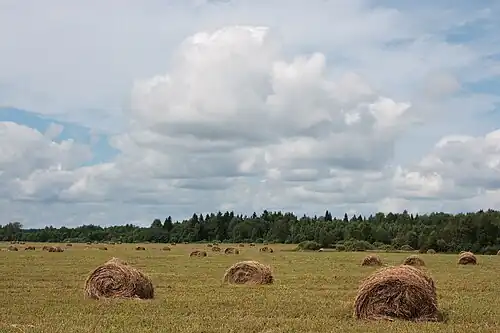 Стоги в Ярославской области