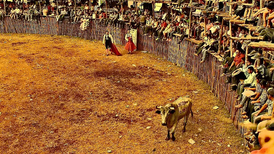 Коррида в Пустуниче