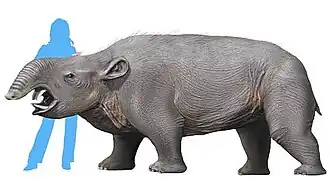 Pyrotherium romeroi по сравнению с человеком, реконструкция