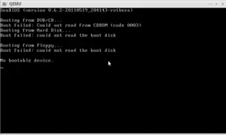 Скриншот программы SeaBIOS