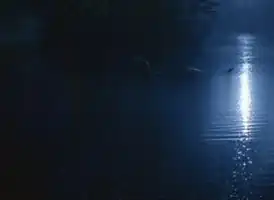 Озёрный монстр в лунном свете. Кадр был создан при помощи CGI и подвергся критике как разрушающий интригу эпизода.