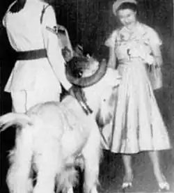 Молодая королева Елизавета II угощает Билли сигаретами. Ямайка. Декабрь 1953 года