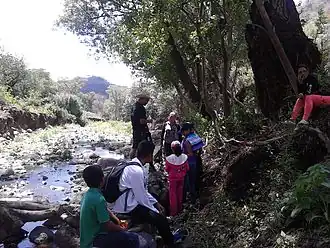 Река Уаскато