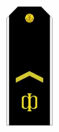 Погон старшего матроса ВМФ РФ (1994—2011).