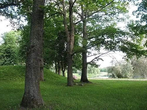 Территория городища Ранну