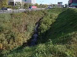 Участок речки из оз. Бабошкино