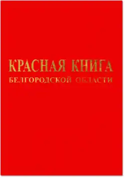 Обложка первого издания (2005)