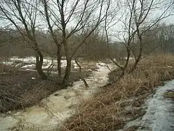 Правый рукав Красного ручья, 2008 год